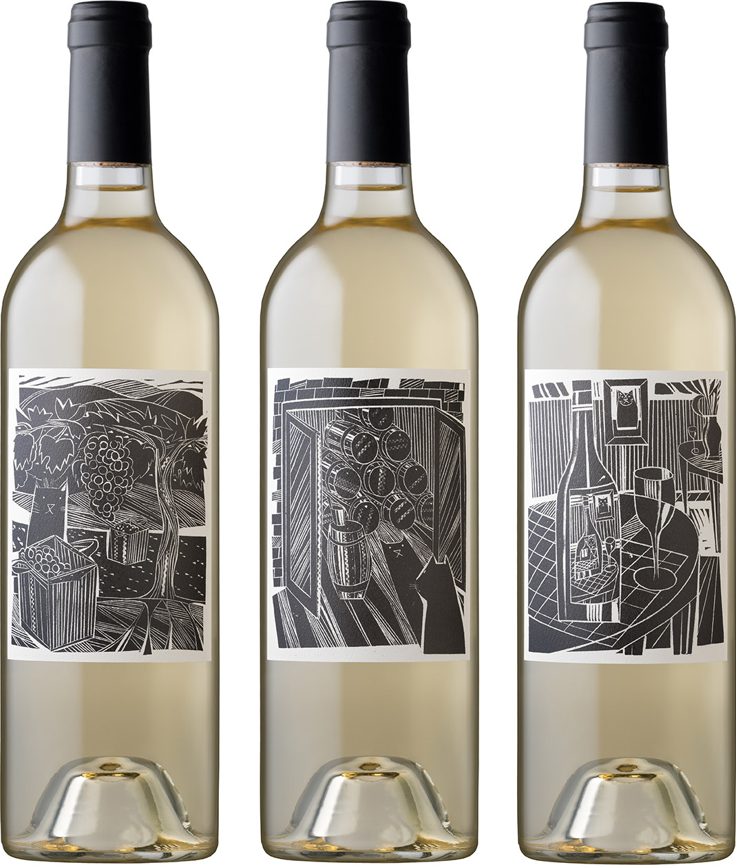 Fluent Wine Company 2019 Glass Cat Sauvignon Blanc